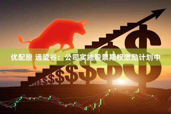 优配股 远望谷：公司实施股票期权激励计划中
