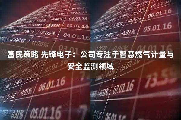 富民策略 先锋电子：公司专注于智慧燃气计量与安全监测领域