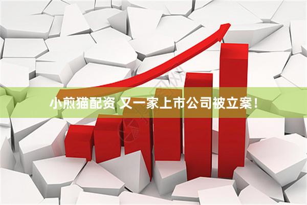 小煎猫配资 又一家上市公司被立案！