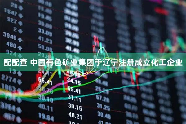 配配查 中国有色矿业集团于辽宁注册成立化工企业