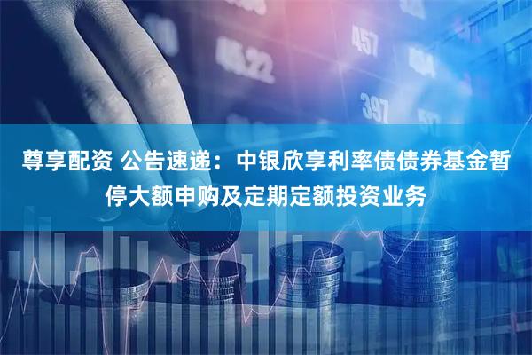 尊享配资 公告速递：中银欣享利率债债券基金暂停大额申购及定期定额投资业务