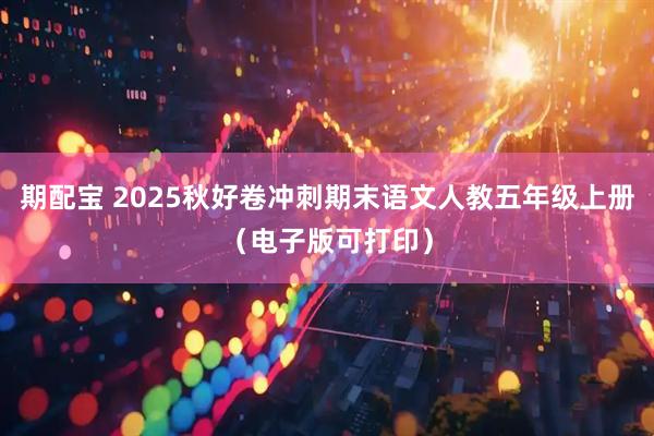 期配宝 2025秋好卷冲刺期末语文人教五年级上册（电子版可打印）