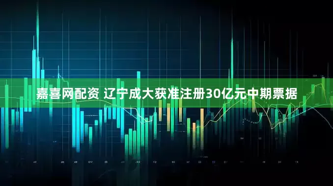 嘉喜网配资 辽宁成大获准注册30亿元中期票据